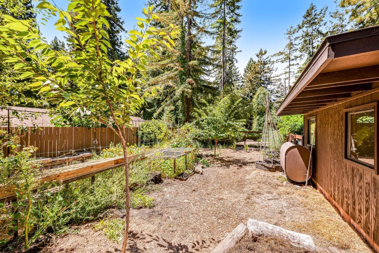 Misty Woods Villa Гуалала Екстериор снимка